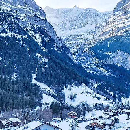 Mila By Interhome Grindelwald