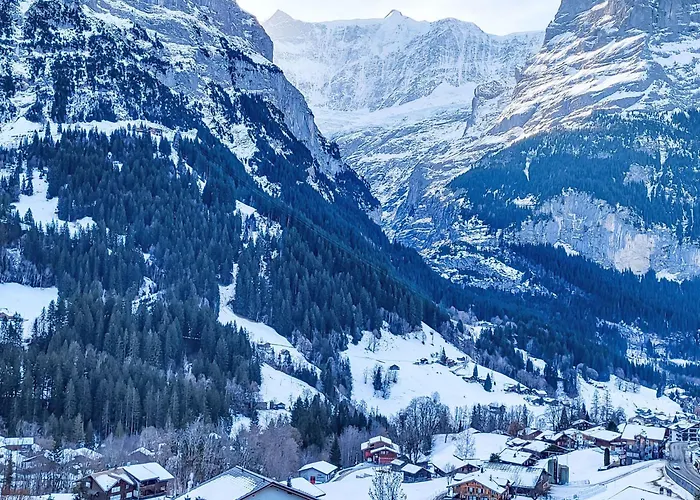 Mila By Interhome Grindelwald