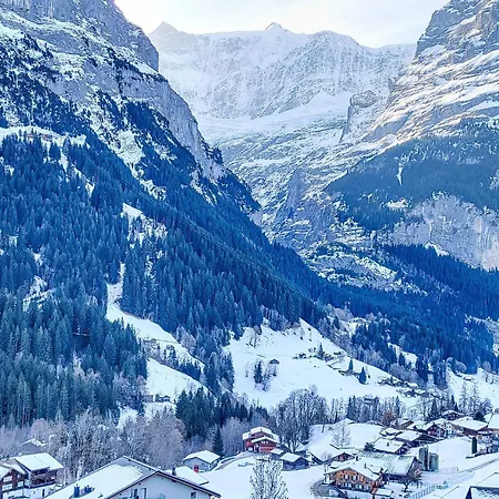Mila By Interhome Grindelwald